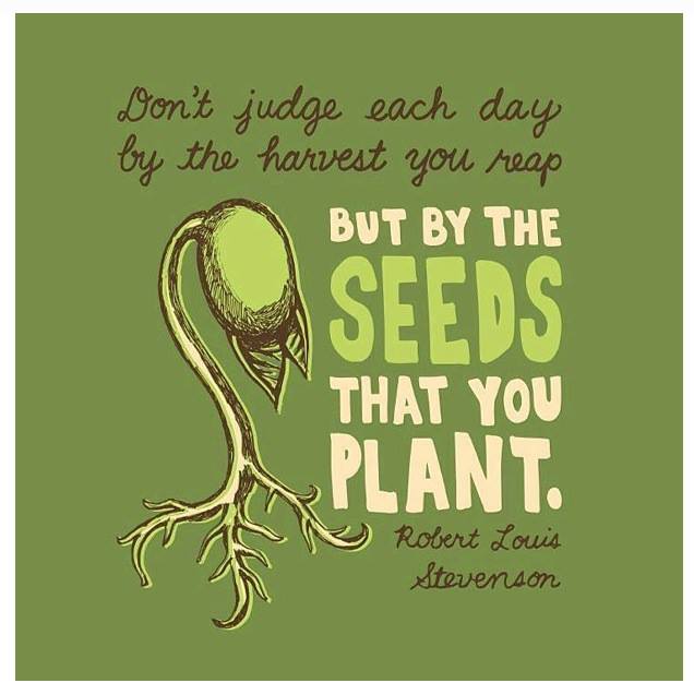 The Seeds That You Plant