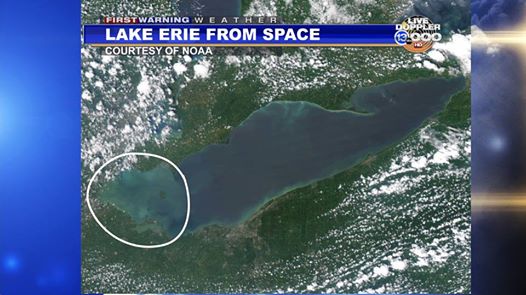 The algae bloom is even visible from space.