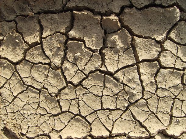 Dry soils (here in Argentina in 2007-08) = no food :(